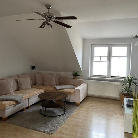 Bambus, Jungle, Dachterrasse & Bequem Bis Zentrum Radebeul Esterno foto