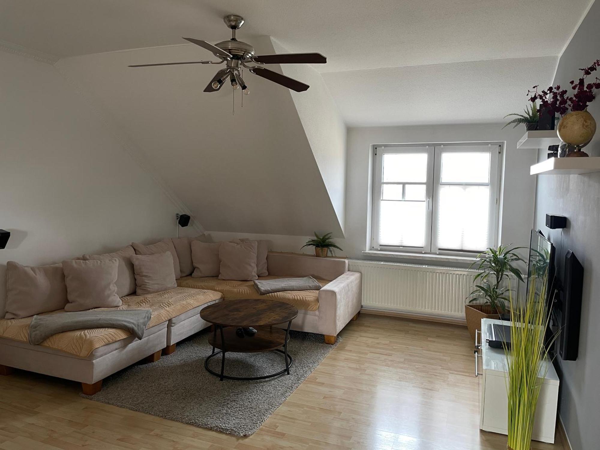 Bambus, Jungle, Dachterrasse & Bequem Bis Zentrum Radebeul Esterno foto